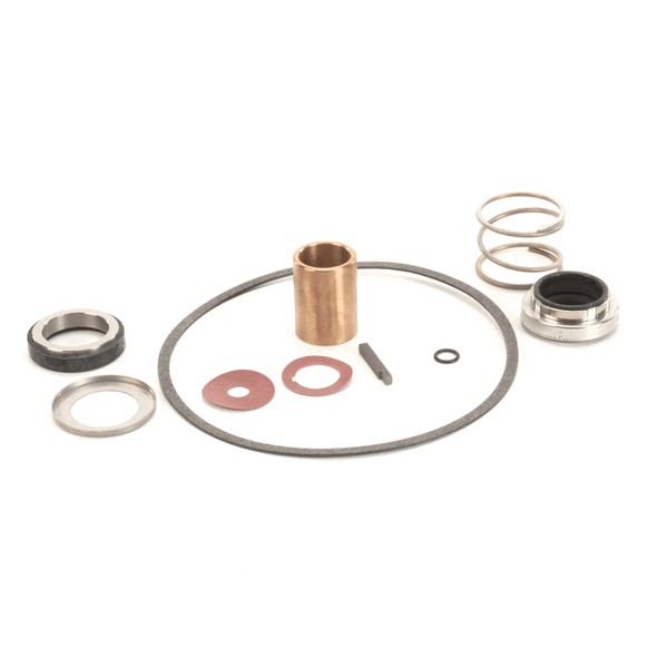 (image for) Power Soak Systems 22462 PUMP SEAL KIT - BURKS ( I )